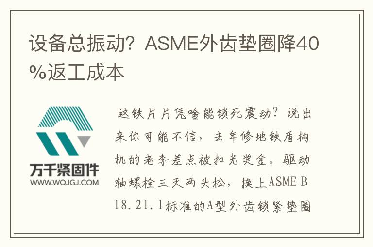設備總振動？ASME外齒墊圈降40%返工成本