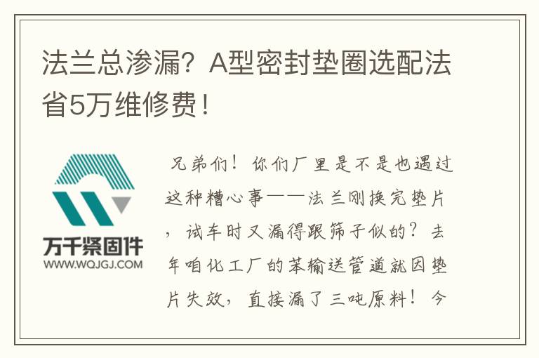 法蘭總滲漏？A型密封墊圈選配法省5萬維修費！
